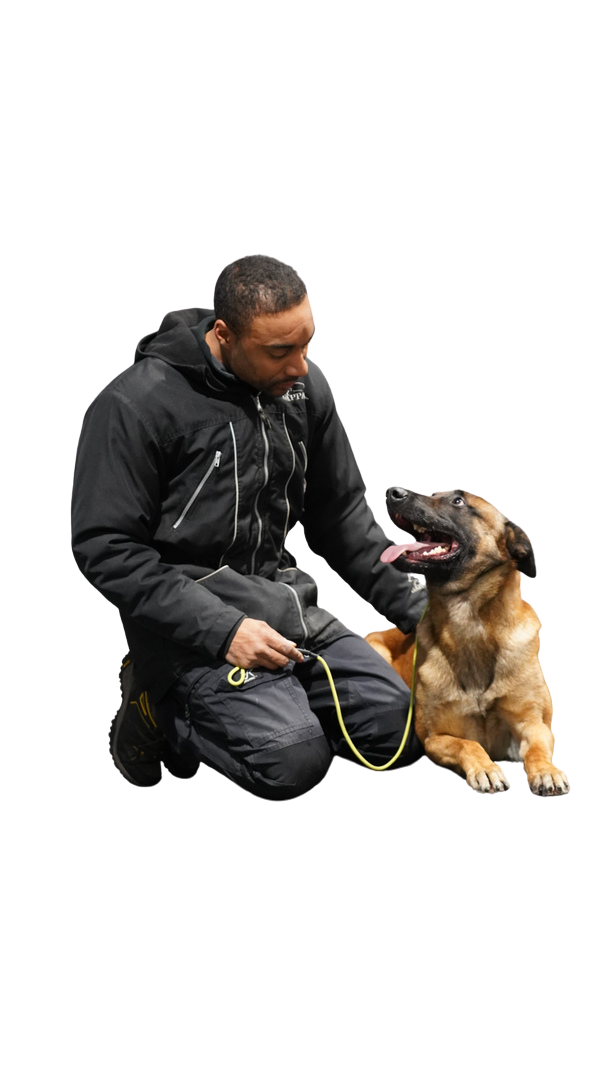 Roman kneeling with a German Shepherd
