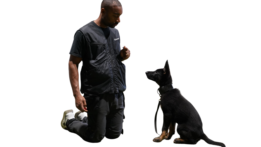 Roman kneeling beside an attentive black dog