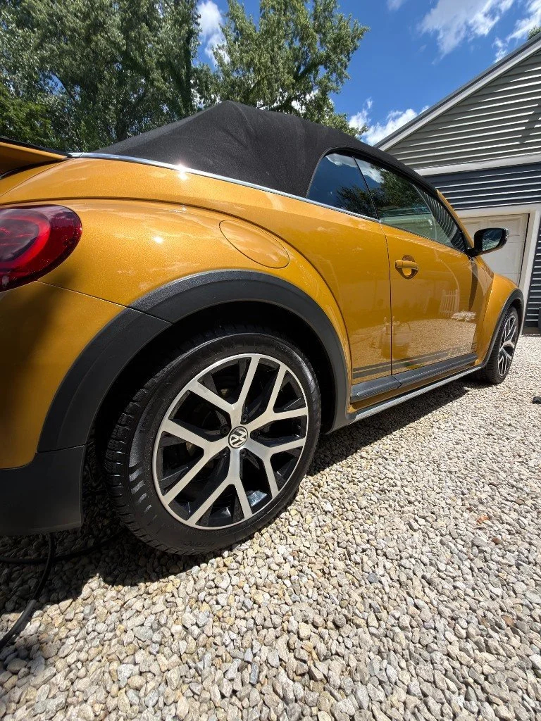 Detailed Volkswagen Beetle, rear view