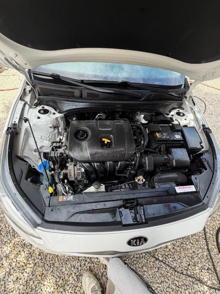 Clean engine bay after service
