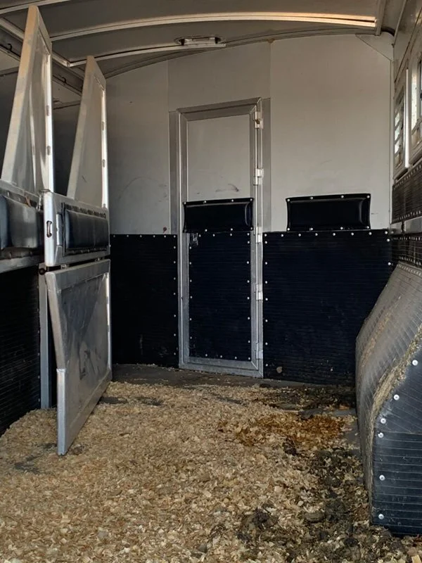 2007 Platinum horse area