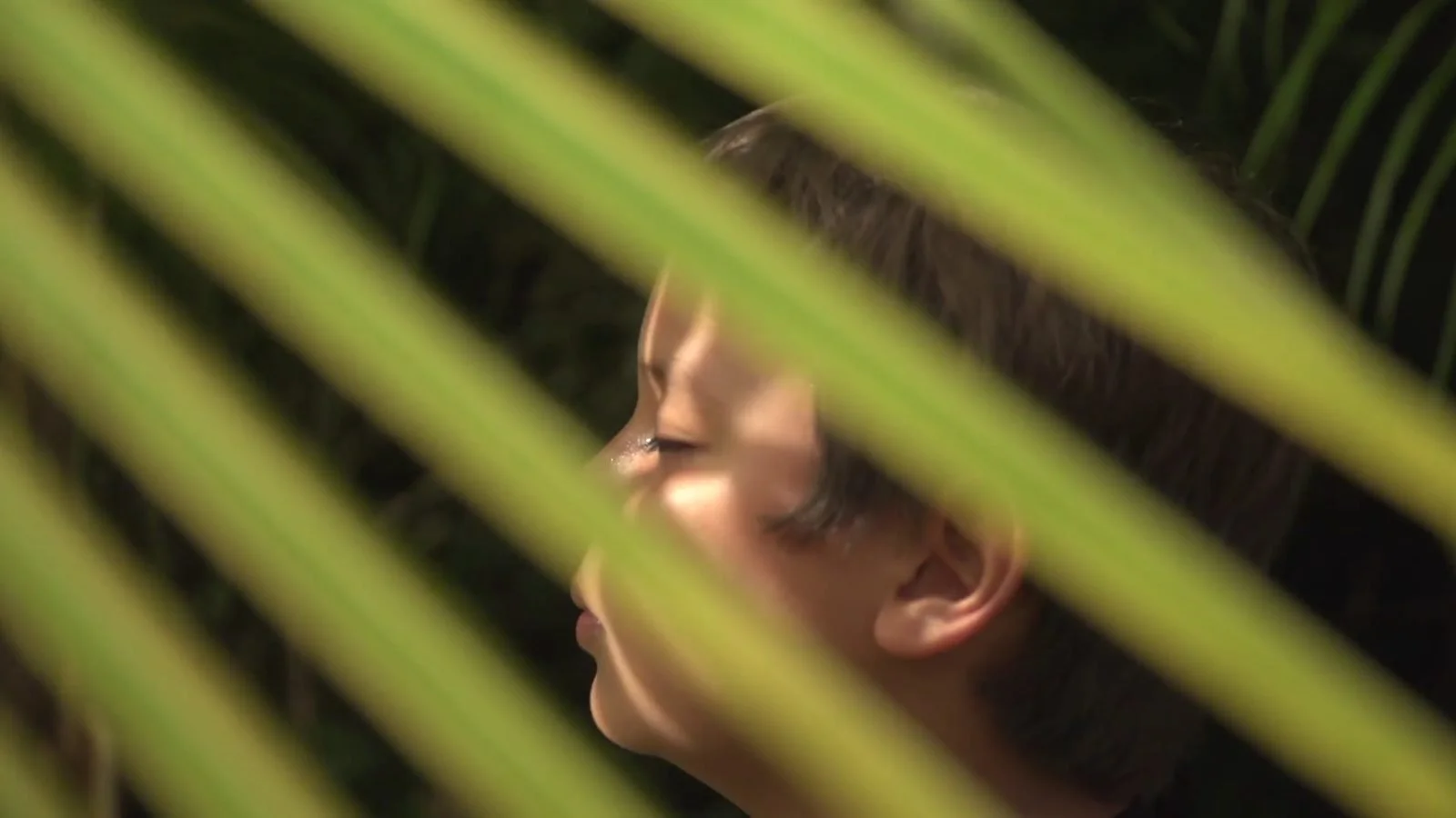 A boy’s face seen through blurred palm fronds