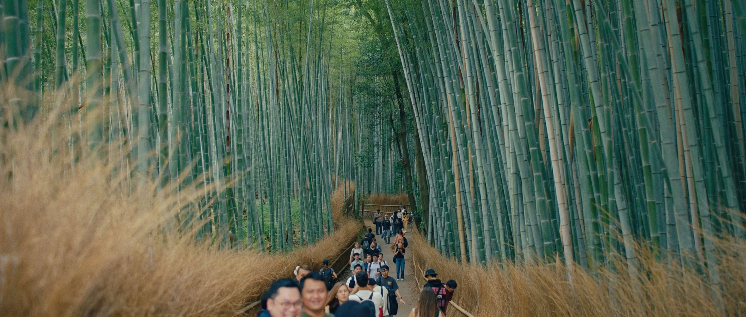 Kyoto — film still 19