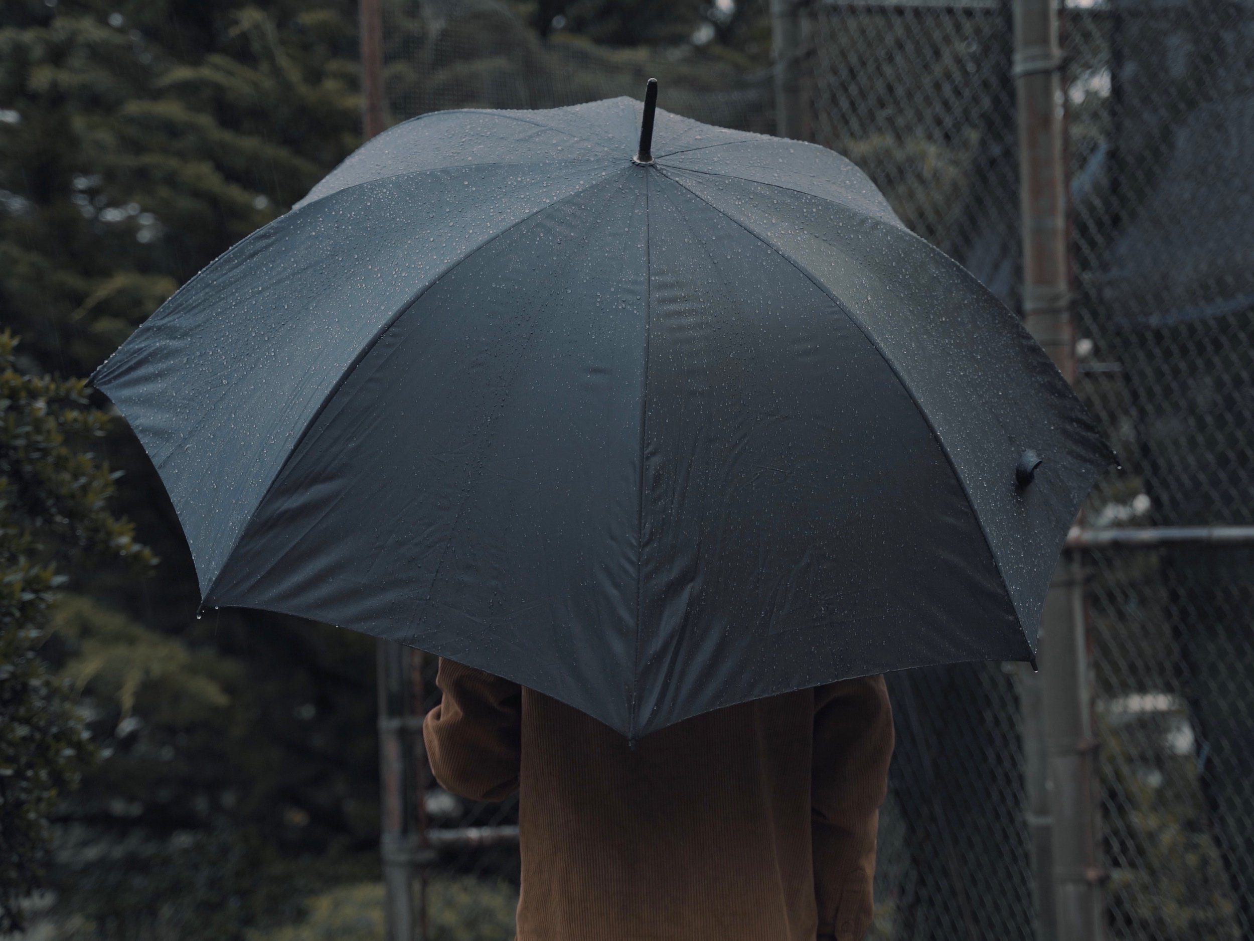 A Rainy Day in San Francisco — film still 6