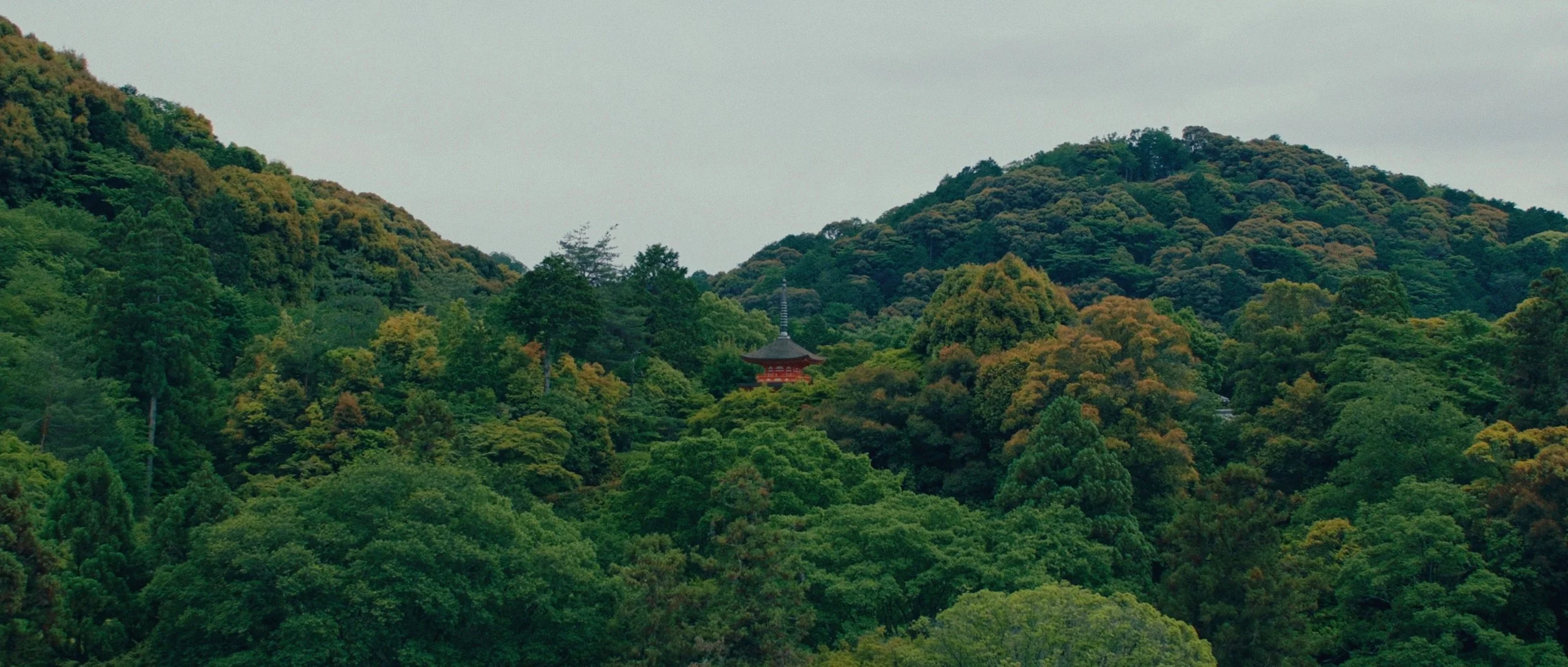 Kyoto — film still 20