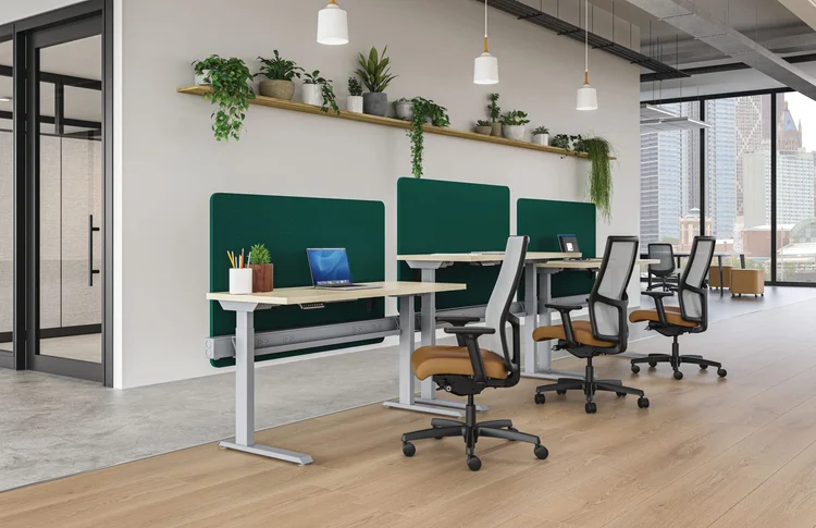 Height-adjustable desks with green privacy panels