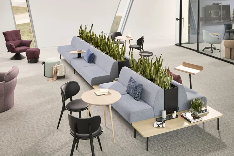 Back-to-back sofas with a planter divider and cafe tables
