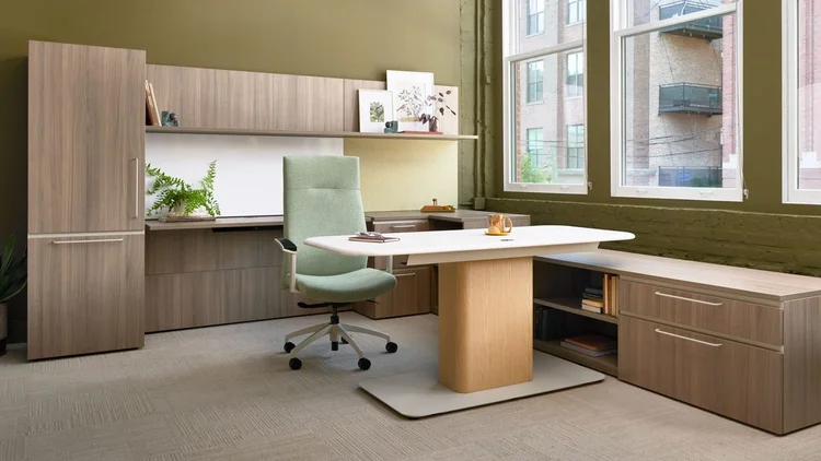 Executive office with storage wall and a pedestal table