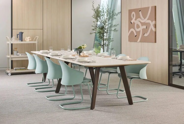 Long dining table with mint cantilever chairs
