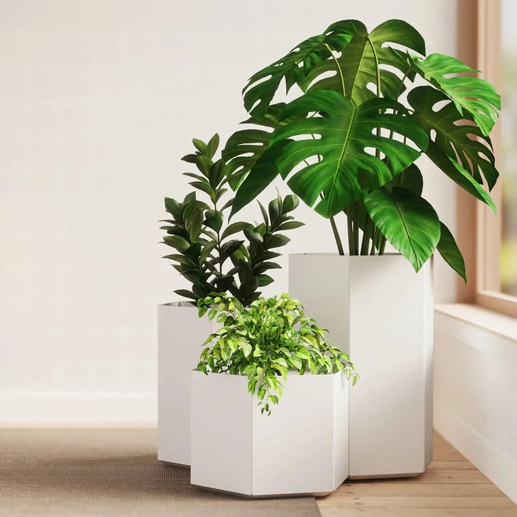White hexagonal planters with greenery