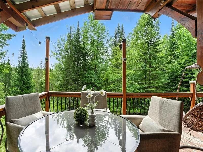 Terrasse couverte avec table et vue sur la forêt