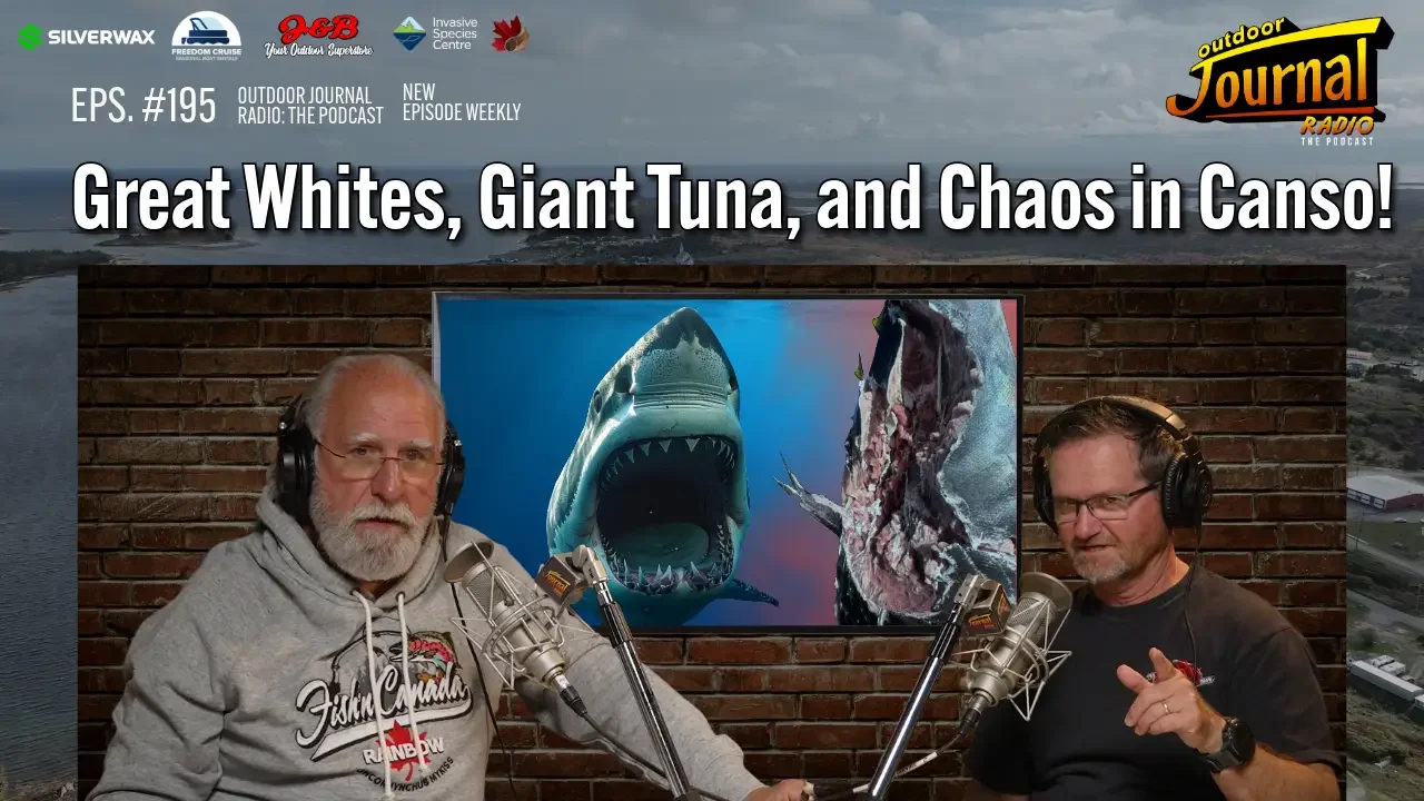 Great Whites, Giant Tuna, and Chaos in Canso!