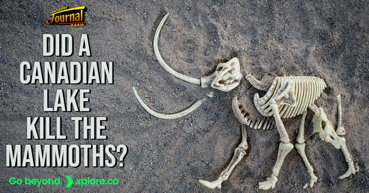 Did A Canadian Lake Kill The Mammoths?