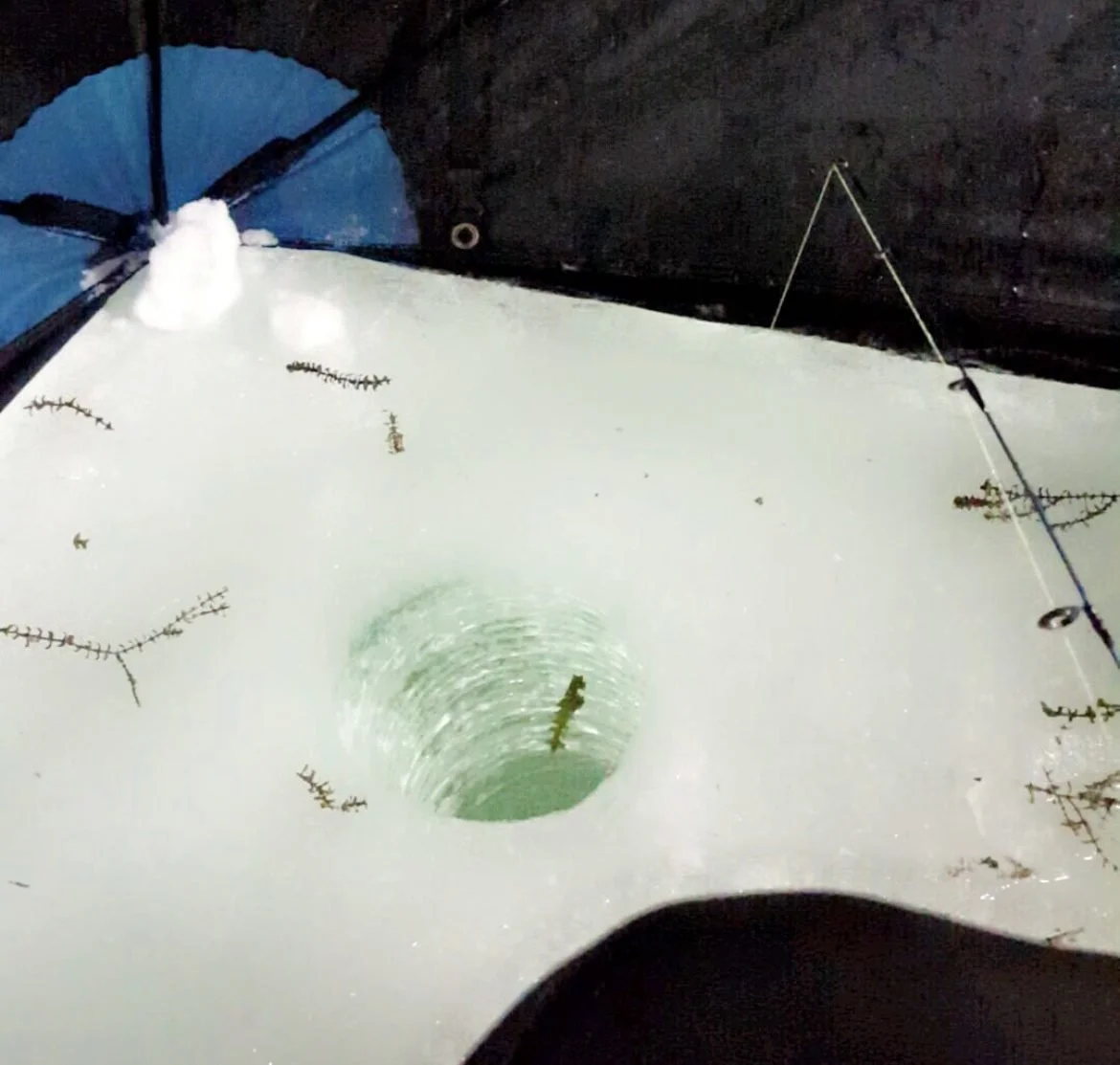 ice fishing for midday walleye near weeds