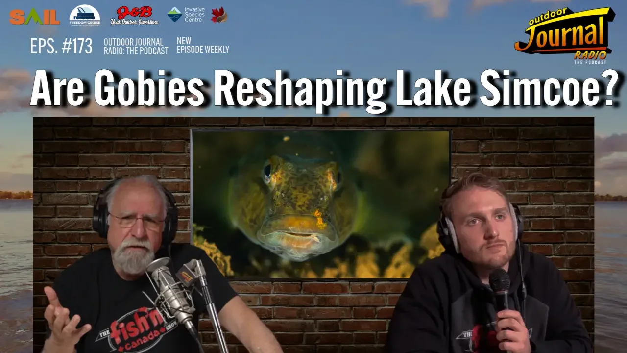 Are Gobies Reshaping Lake Simcoe? | Outdoor Journal Radio ep. 173
