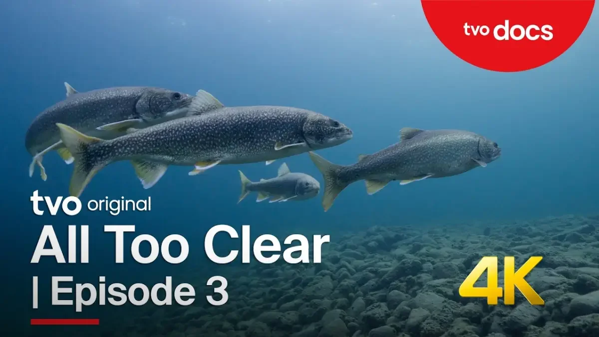 A Silver Lining | Episode 3 | All Too Clear: Beneath the Surface of the Great Lakes | TVO Original