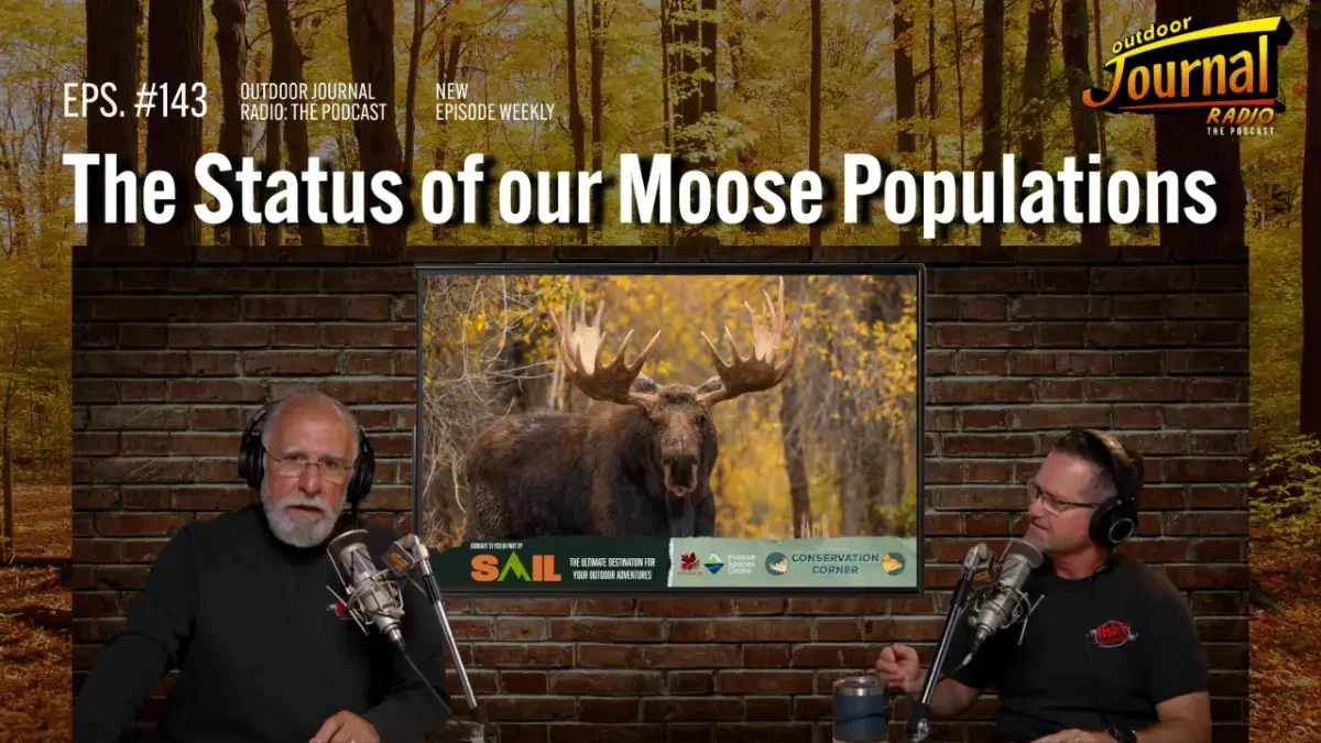 The Status of our Moose Populations | Outdoor Journal Radio ep. 143