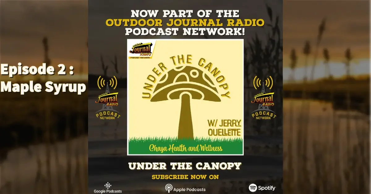 Under The Canopy Podcast Episode 02: Maple Syrup