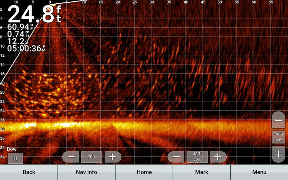 A school of perch shown on a Garmin fishfinder