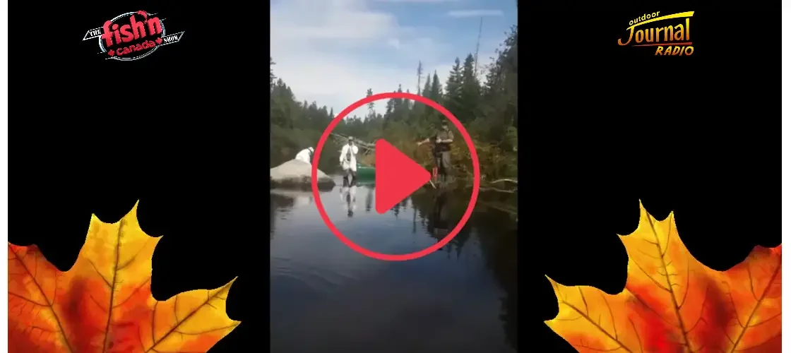 VIDEO: New Brunswick Group Poisons Lake to Eliminate Smallmouth Bass