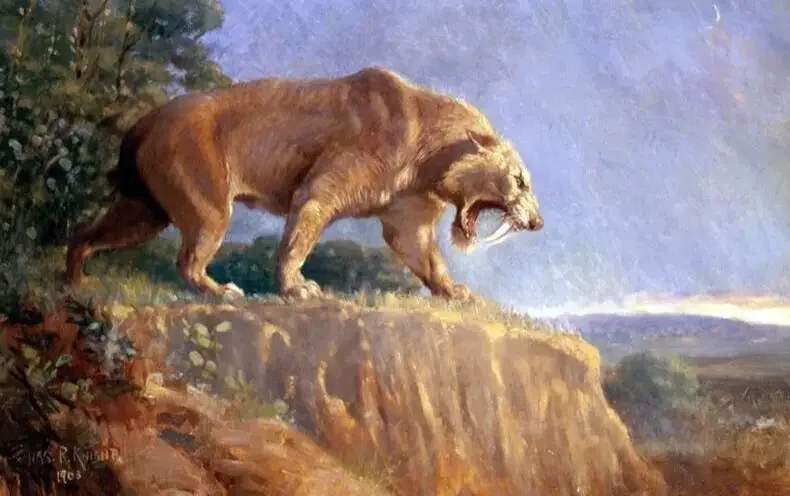 saber+tooth