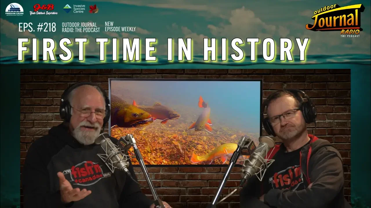 The Craziest Fish Behaviour Ever Filmed in Freshwater