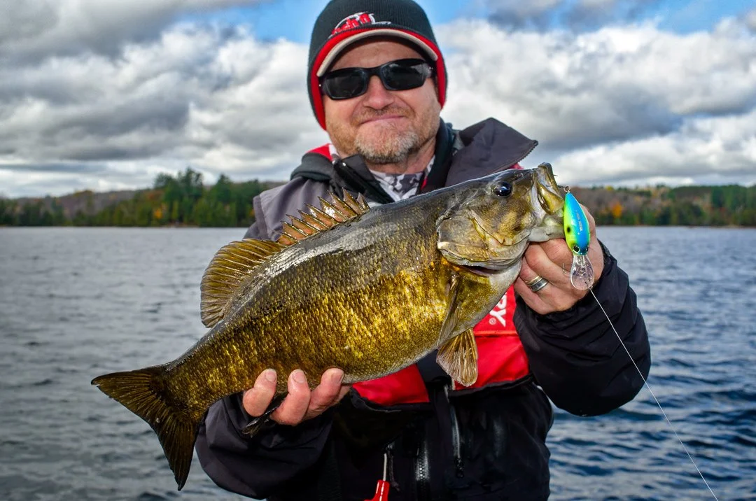 Another fall smallmouth