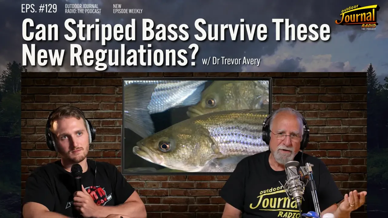 Can Striped Bass Survive These New Regulations? | Outdoor Journal Radio ep. 129