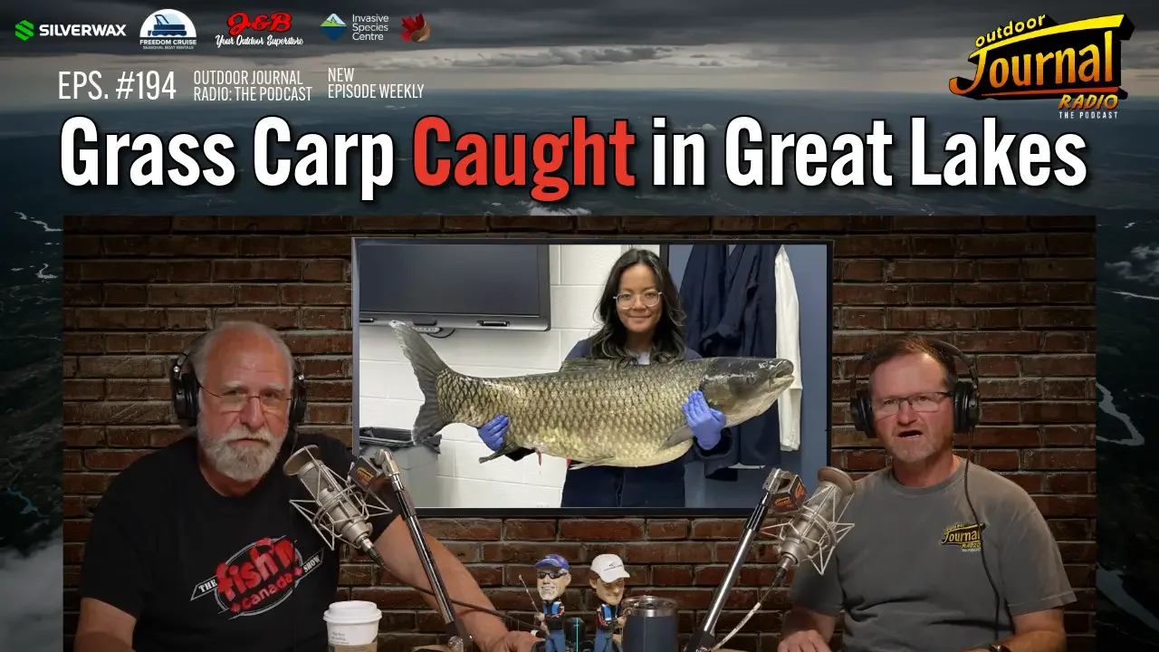 Massive Grass Carp Caught in Ontario Waters! Are Our Lakes at Risk?