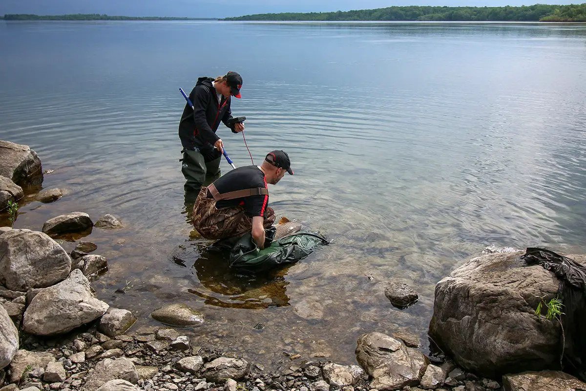 The Craziest Fish Behaviour Ever Filmed in Freshwater