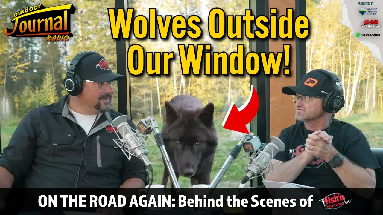We Recorded a Podcast Beside Real Wolves!