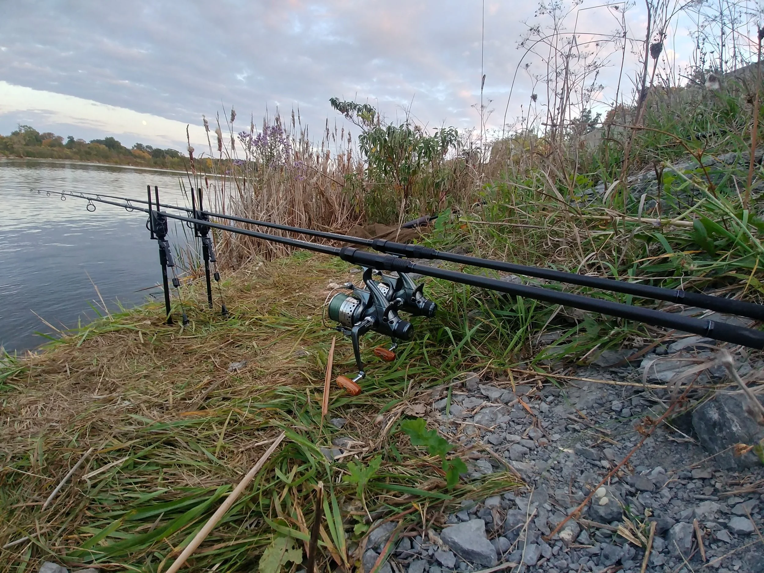 Multi-line carp fishing