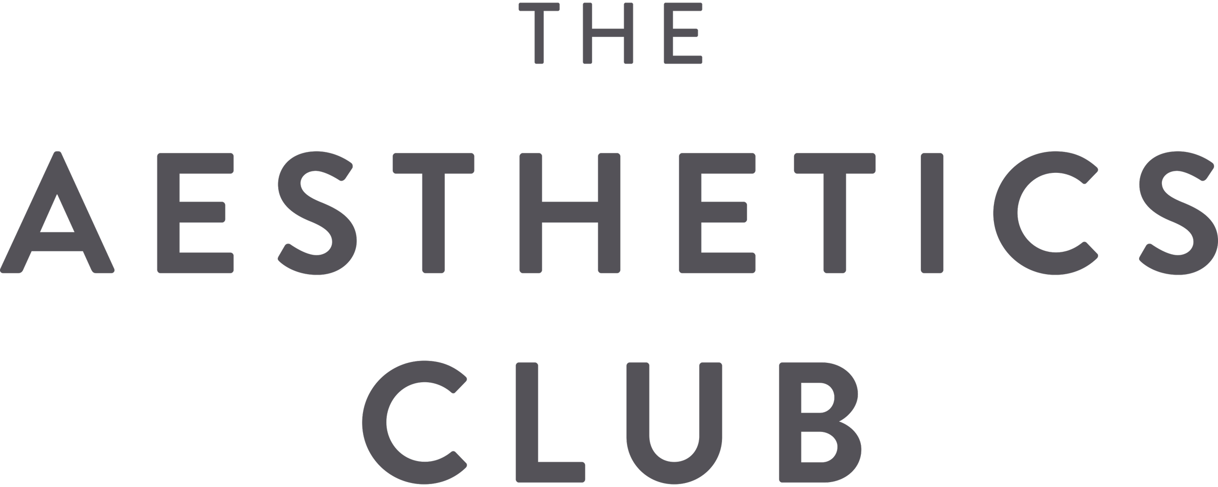 The Aesthetics Club