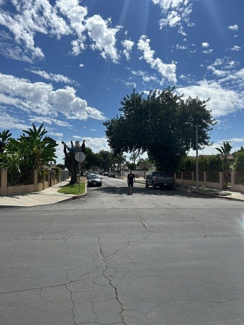 The entrance to Lyon Estates