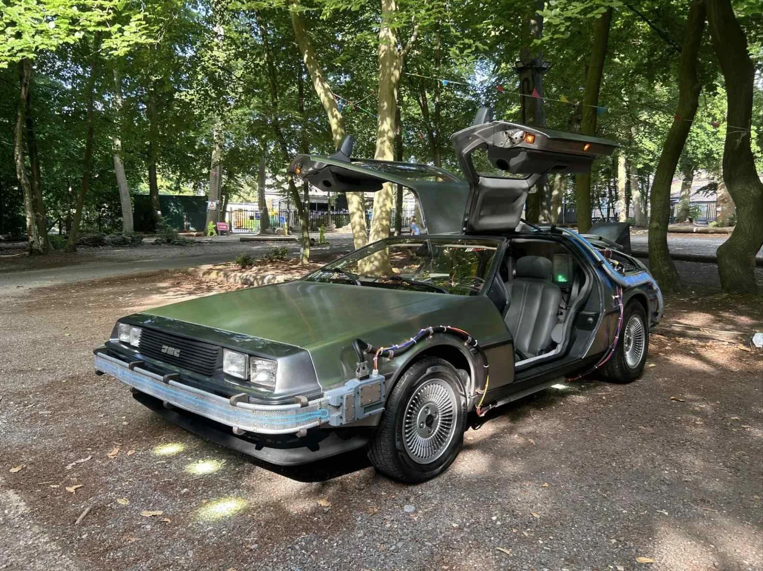 Time machine in a leafy woodland setting