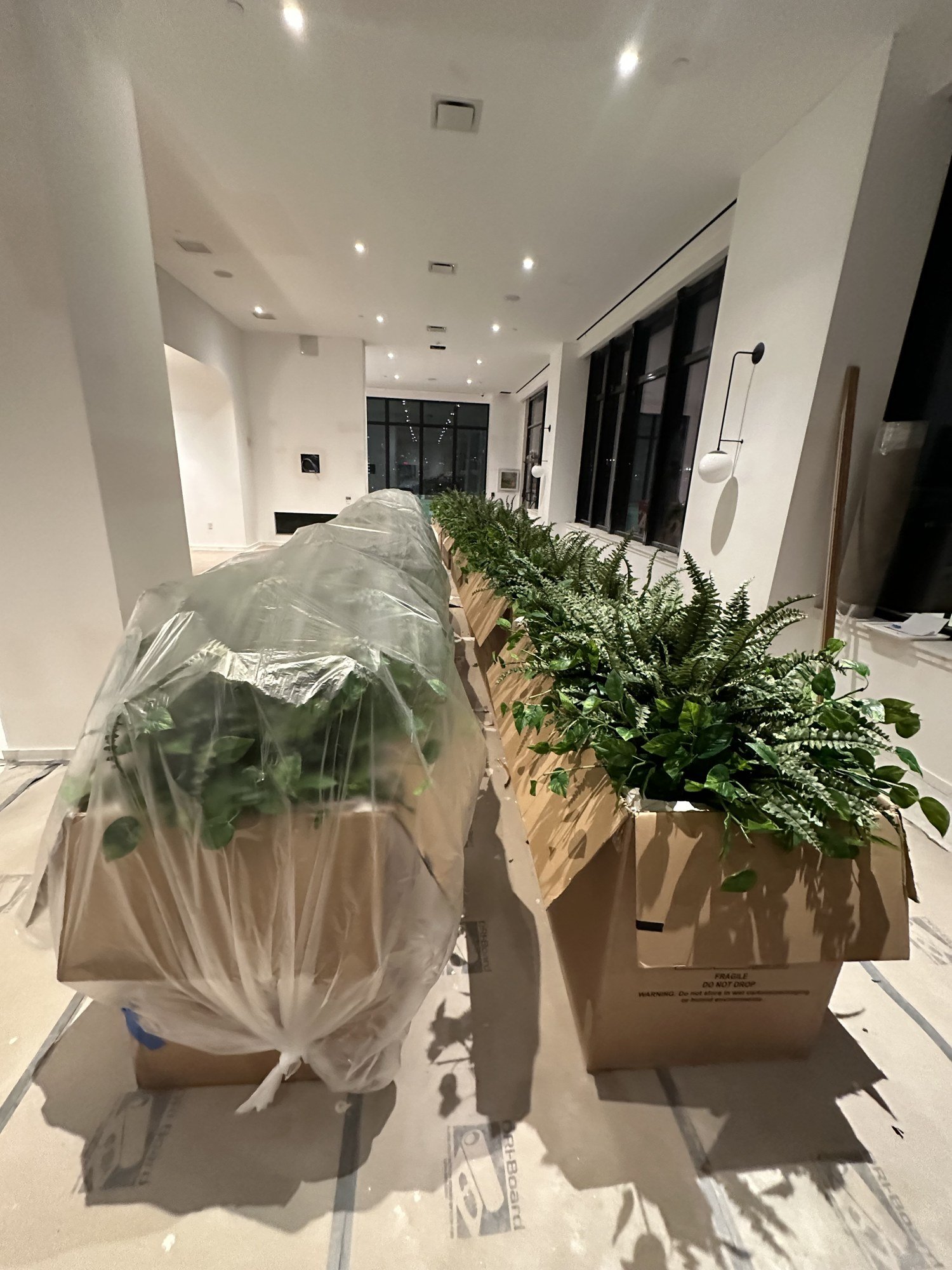 Foliage assembled on site into client-supplied planters and covered in protective plastic against construction dust at a multi-building development