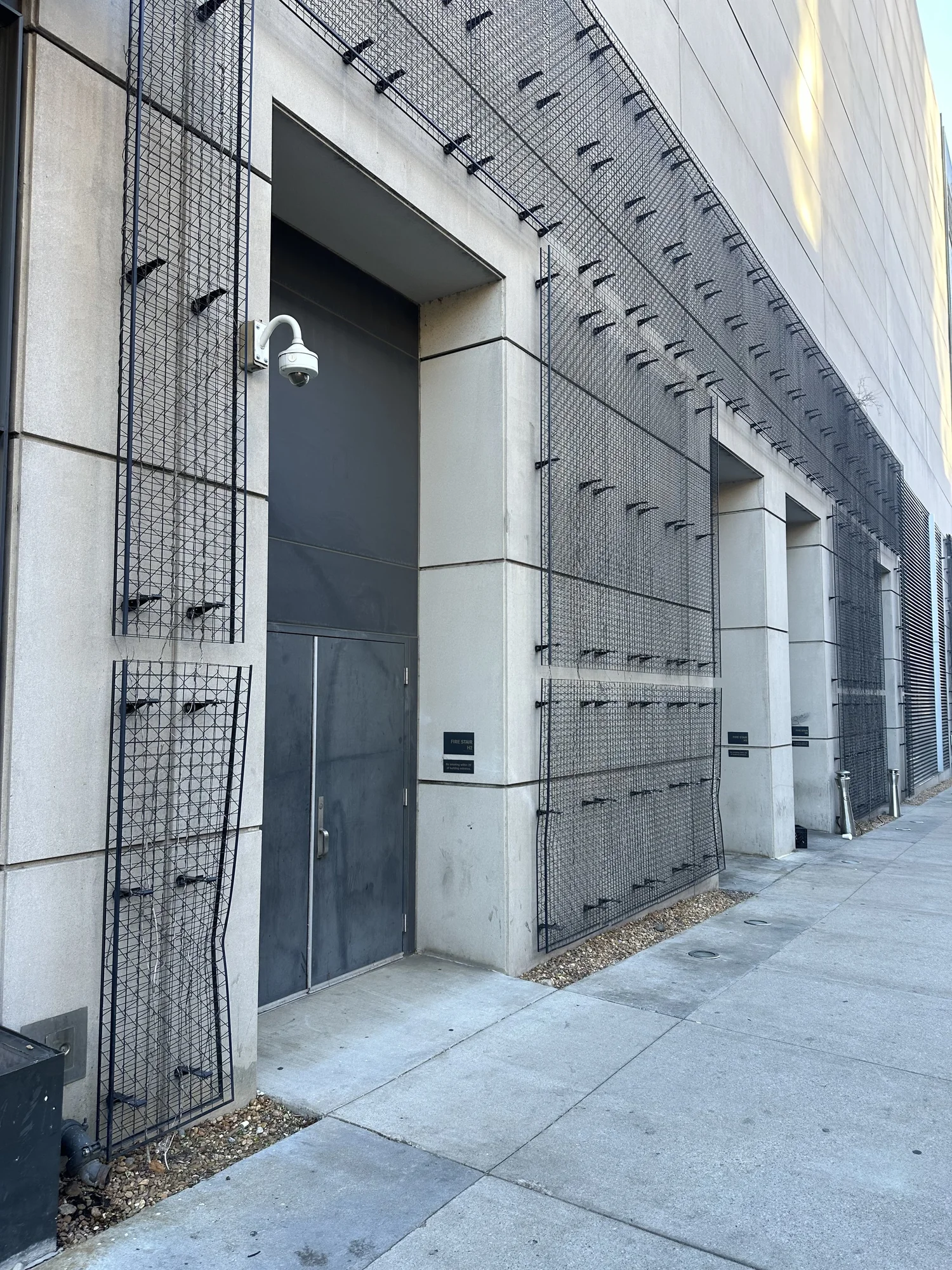 A live vine wall that never filled in, with bare metal trellis and dead stems along a building exterior