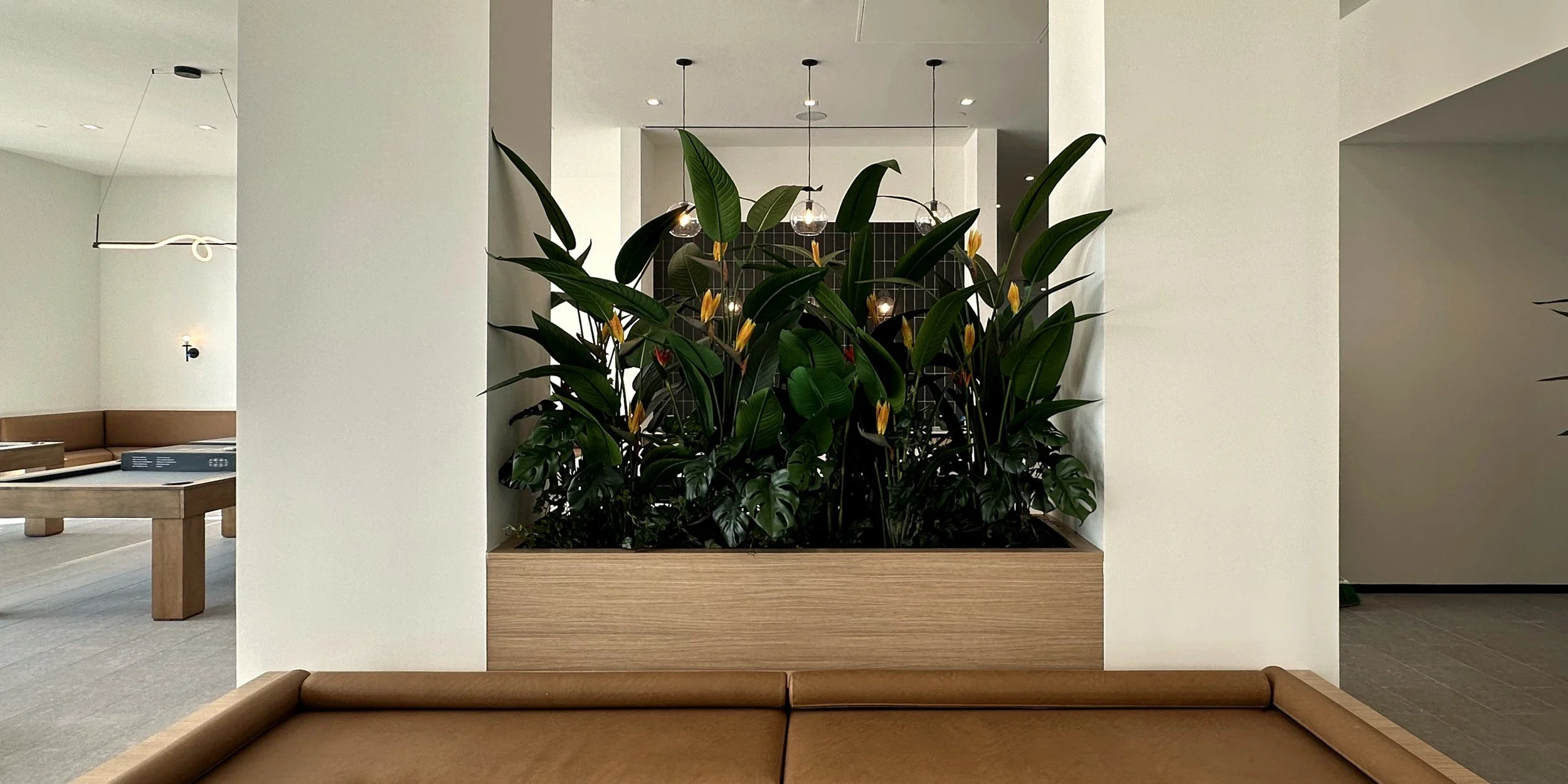 Built-in oak planter filled with bird of paradise and monstera between white columns in a residential amenity lounge