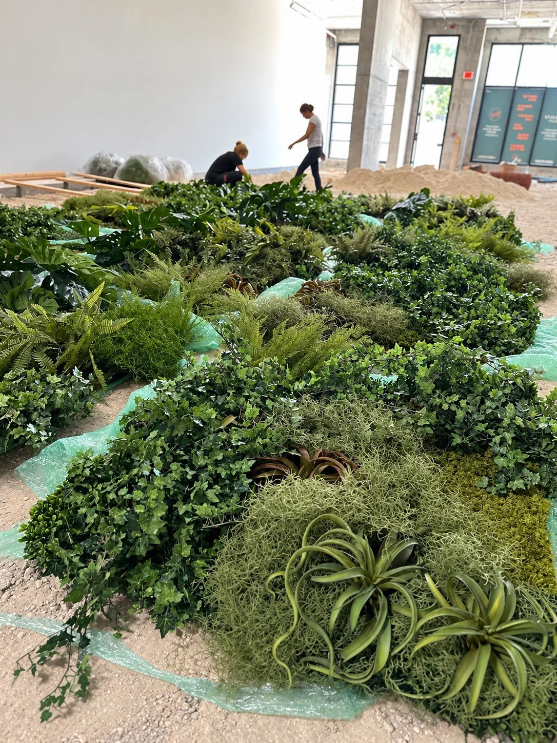 Layered ferns, ivy, moss, and air plants being composed by hand into a greenwall