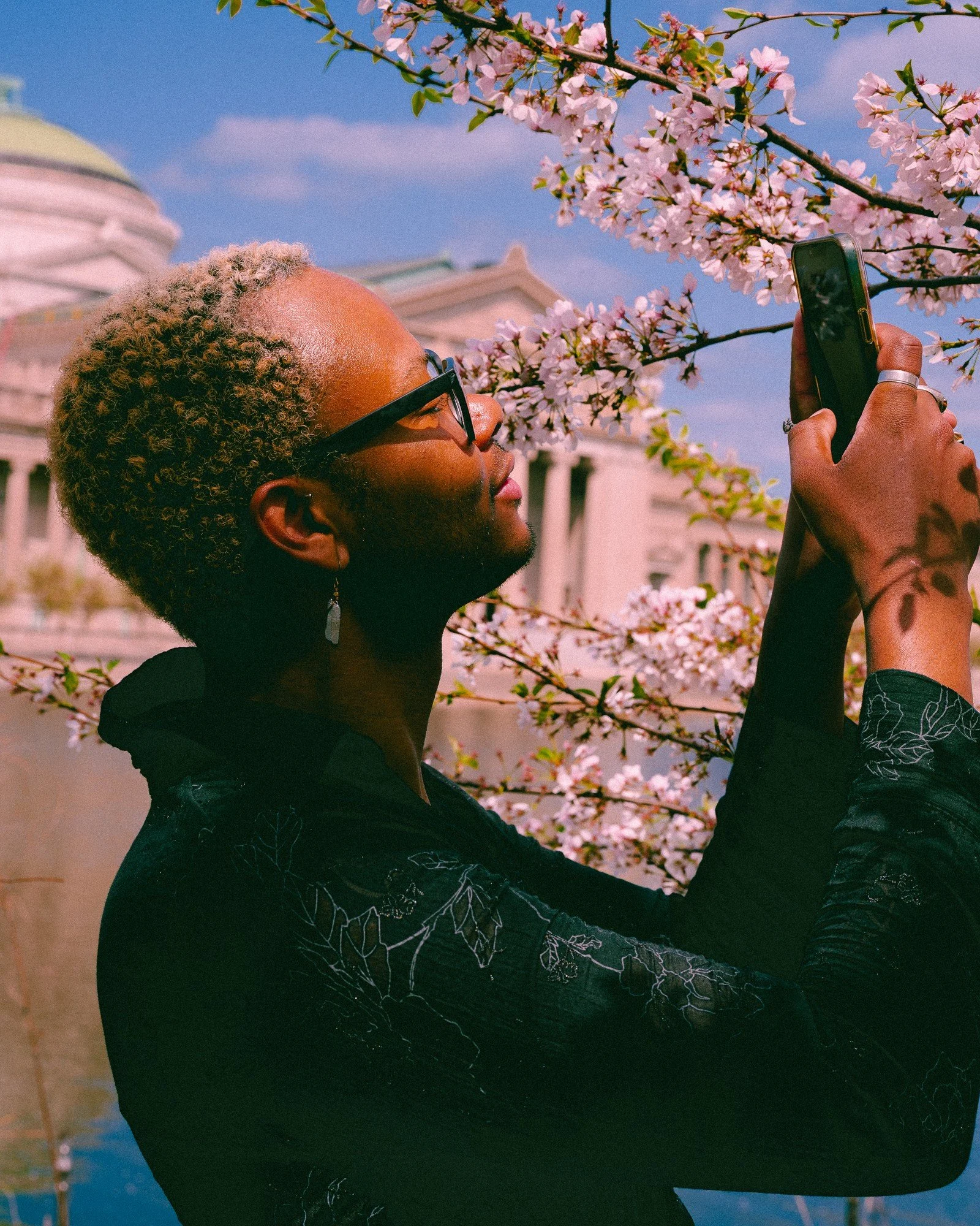 A person raises their phone toward flowering branches beside a lagoon.