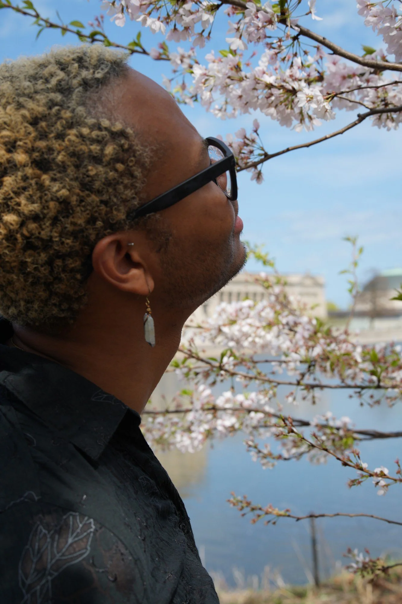 A close profile portrait of a person looking up toward cherry blossoms.