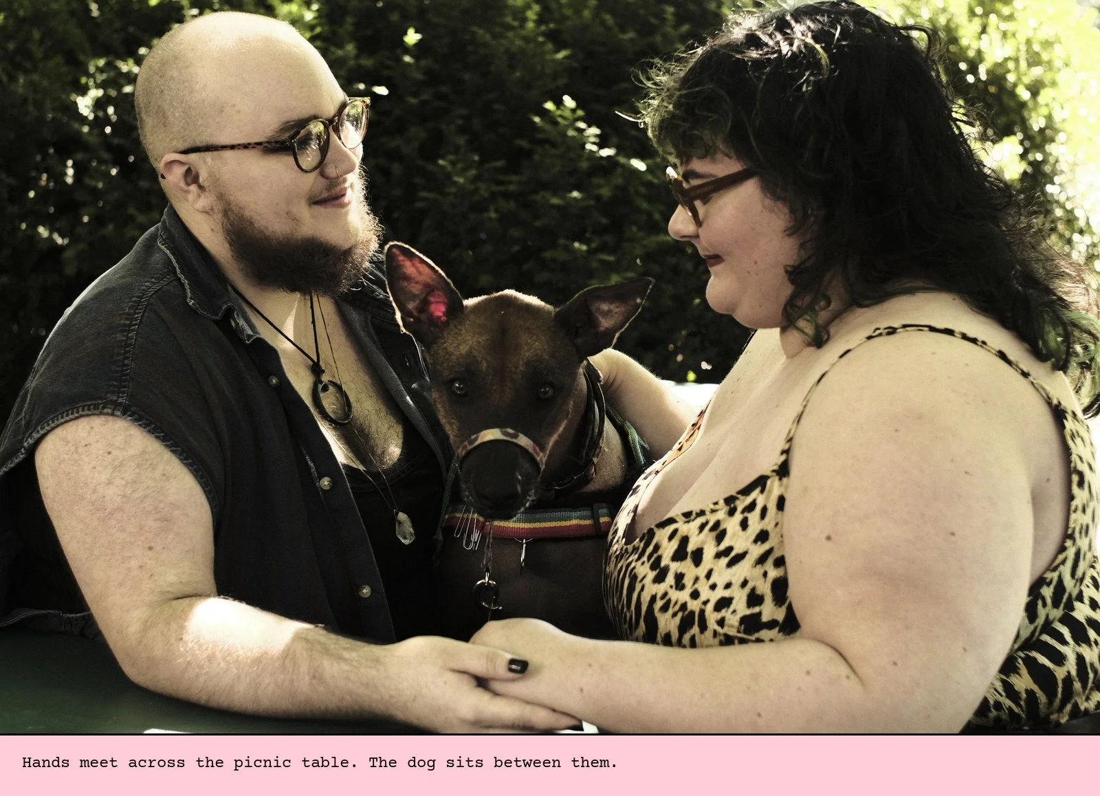 Hands meet across the picnic table. The dog sits between them.