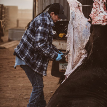 Hanging elk carcass wild game processing in Parks, AZ