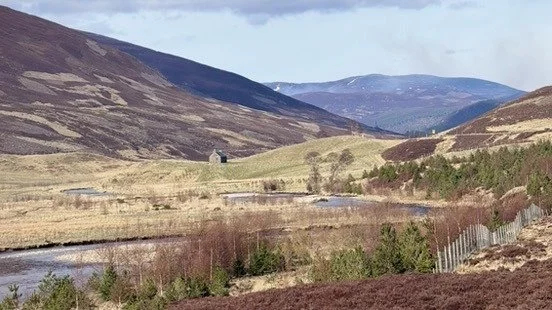 A Highland glen