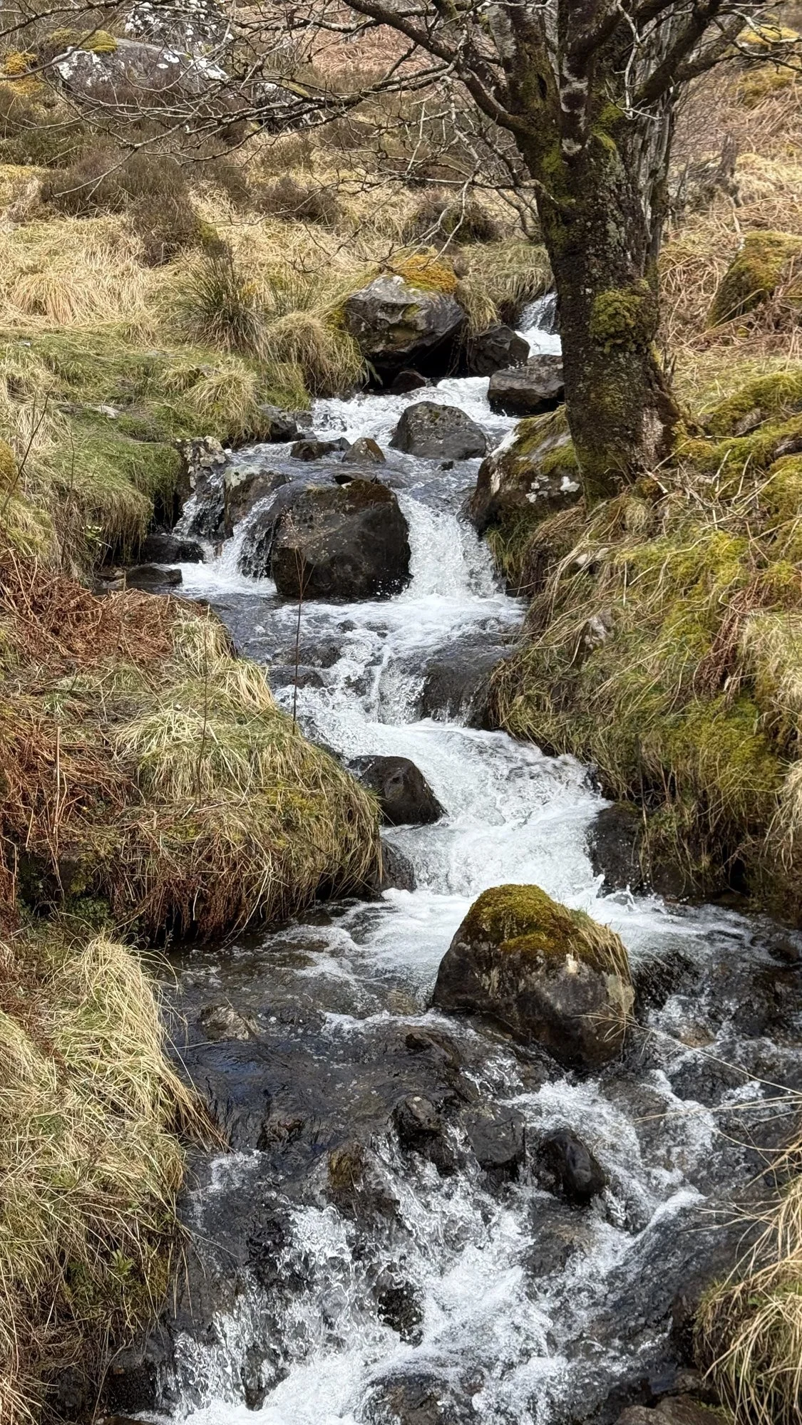 A Highland stream