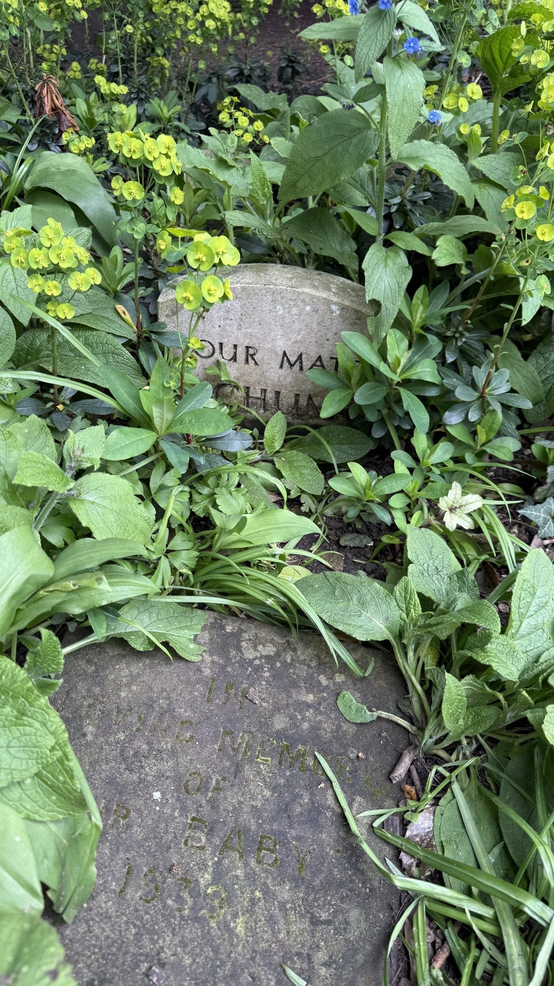A Victorian pet cemetery