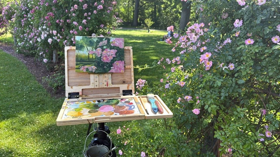Pochade box on a tripod in the Elizabeth Park rose garden, with Pink Roses in progress beside the real roses.