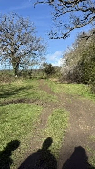 Three shadows on the footpath