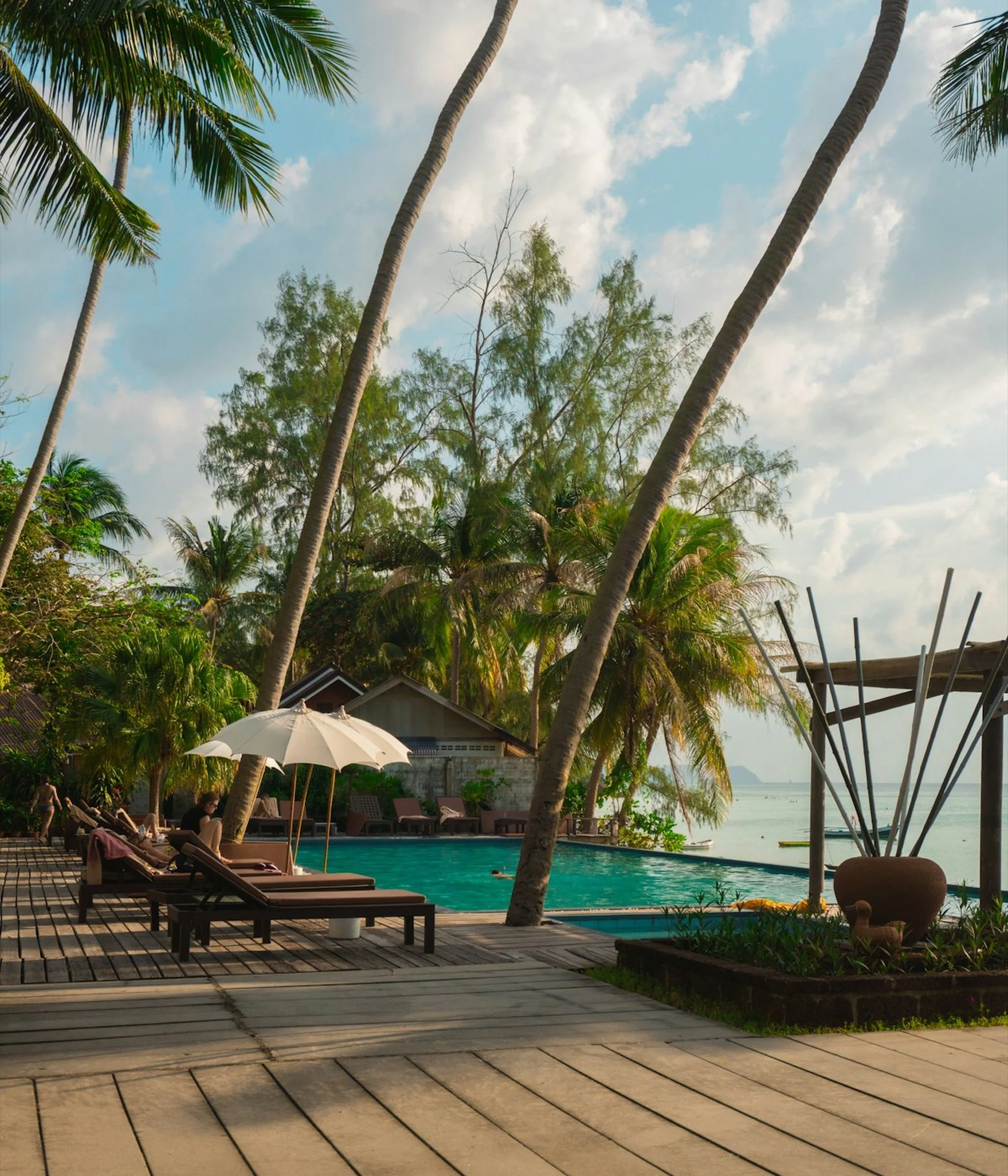 Palm-lined resort poolside