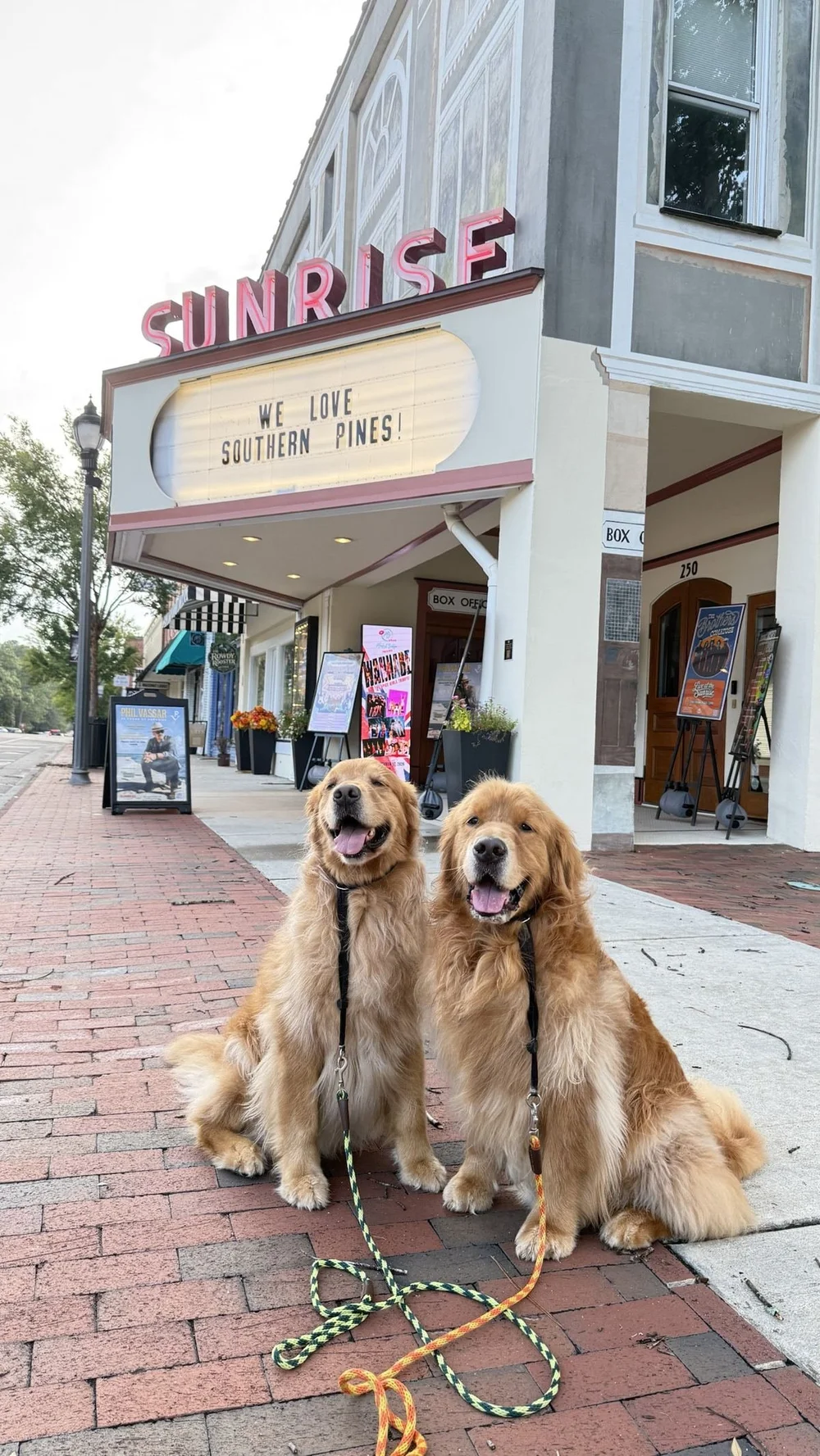 Golden retrievers Monty and Miller outside the Sunrise Theater in downtown Southern Pines, NC
